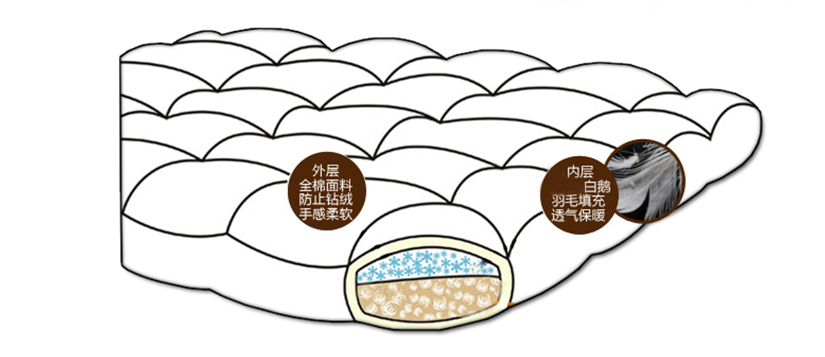 干爽防螨，蓬松度強