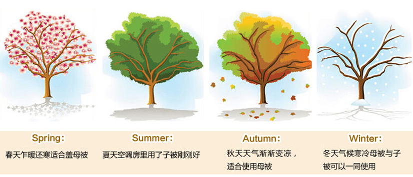 100%蠶絲填充，讓您四季享受云端輕柔