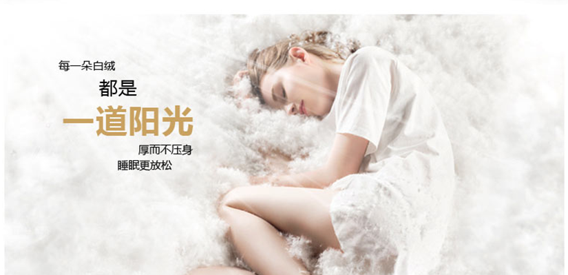 每一朵的白絨都是一道陽(yáng)光