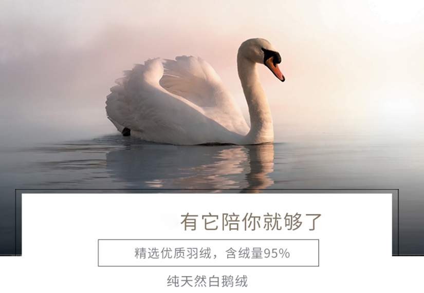 精選優(yōu)質(zhì)羽絨，有它陪您就夠了