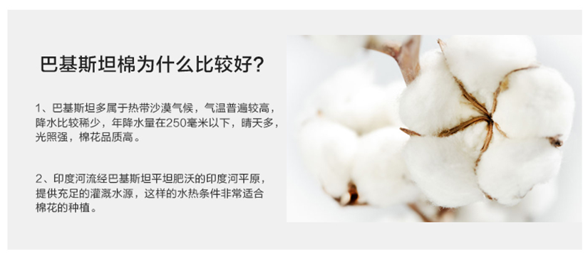 自然棉花，讓您安心享受每一天