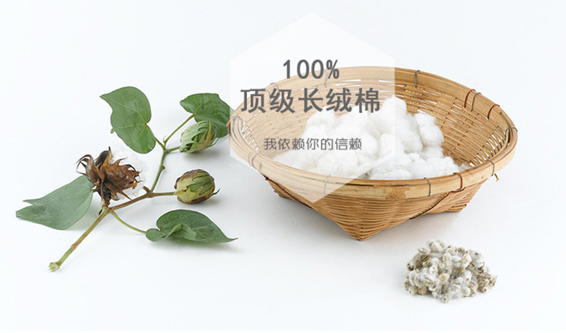 洗滌說明，不可漂白，不可機洗，懸掛晾干，低溫熨燙