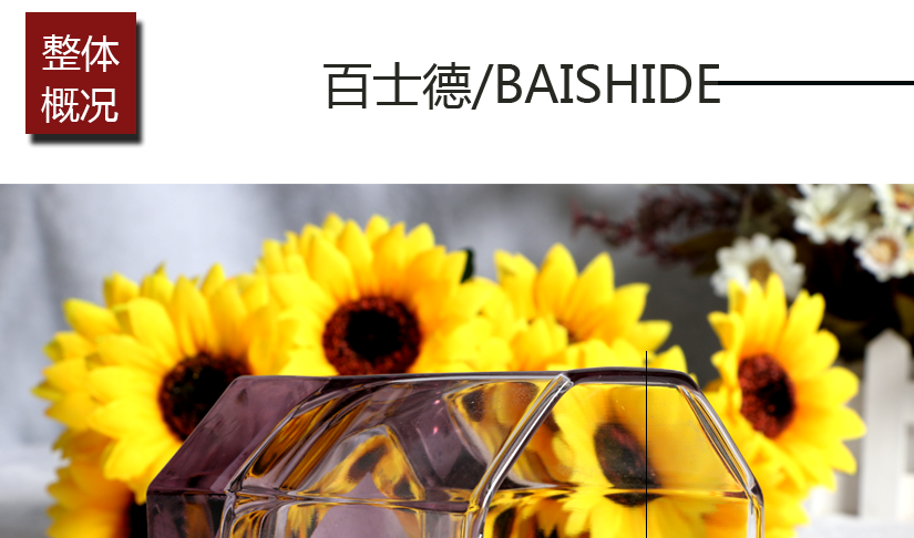 整體概括