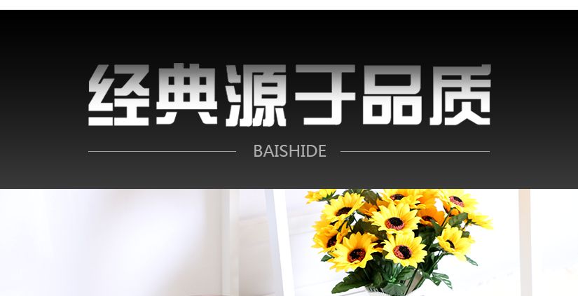 適用于多種場(chǎng)合的使用