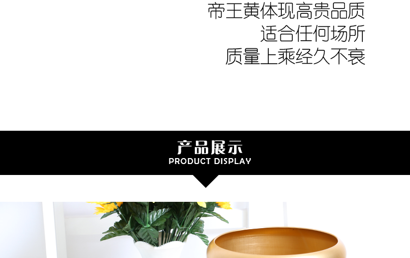 超出極限的現(xiàn)代美感