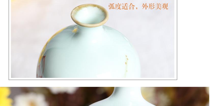 紅蓮綠莖，在湖水的襯托下分外妖嬈